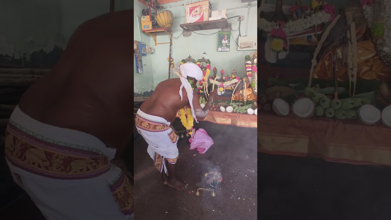 மாசி மாதம்29ந் தேதி பௌர்ணமி பூஜை  பருத்திப்பள்ளி அருள்மிகு அண்ணன்மார் சாமிக்கு   பூஜை நடைபெற்றது.