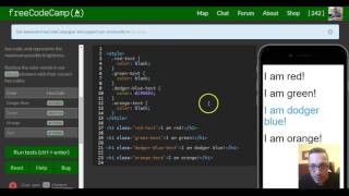 Use Hex Code to Mix Colors, freeCodeCamp review html & css, lesson 53