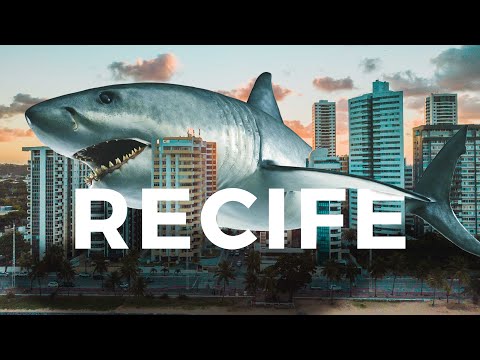 Vídeo: Recife brasil é seguro?