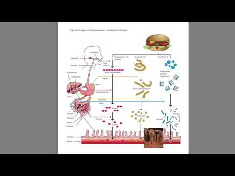 biologi til tiden biologi til tiden