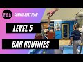 Level 5 bar routines october update