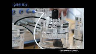 Whole-body Plethysmography System for Mice and Rats (By TOW-INT-TECH )