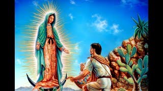 เรื่องราวของการปรากฏตัวของ Virgin of Guadalupe เรื่องราวที่เหลือเชื่อ