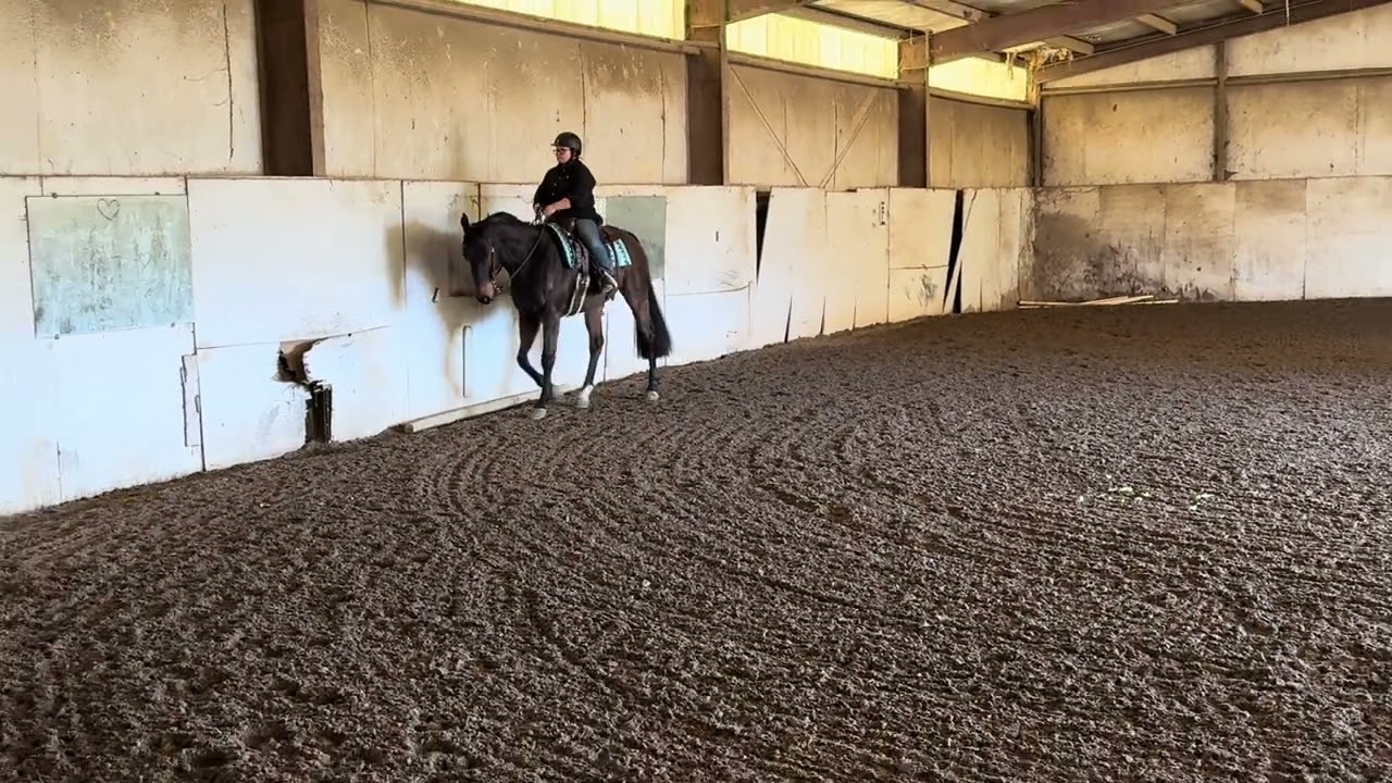 WDAAZ heart my horse #6473 LUCKY LOTTO & Catherinerose WDAA basic 4 