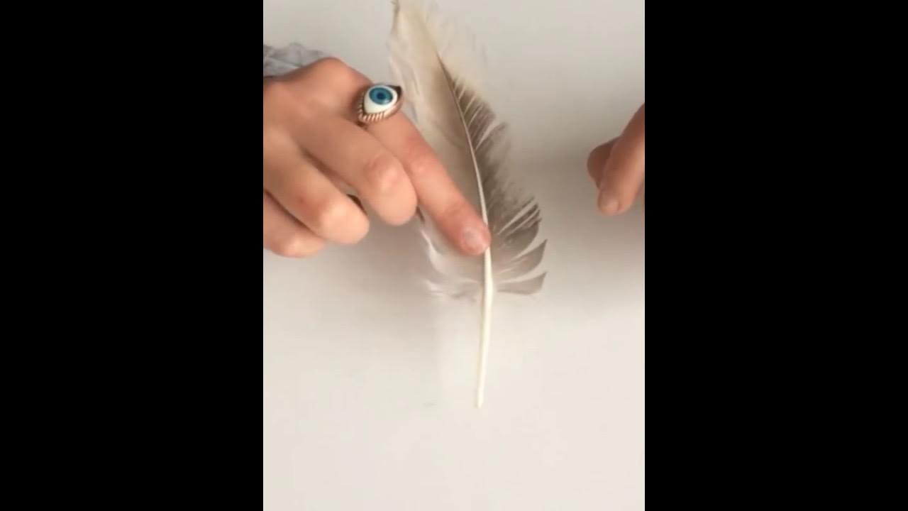 Cómo hacer una pluma