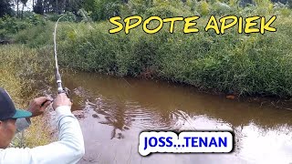 Spot Mancing  Ikan Betok | Papuyu Paling Diminati Pemancing Liar,Joss...Tenan@mbahtransmancing
