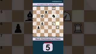 Black Checkmates in 5 Moves mogielica stanislav 94