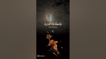 تلاوة سورة الأعلى بصوت القارئ عبد الرحمن مسعد#عبدالرحمن_مسعد