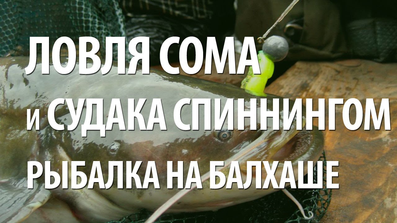 Кемерово балхаш на машине