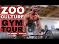 Zoo Culture Gym Tour w/ Bradley Martyn "The Best Gym Ever"