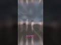ستوري حب حالات واتس اب حب اليسا اسعد واحدة ستوري انستا حب غيديوهات عشق ۥ