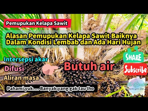 Video: Bisakah kamu melakukan rendering saat hujan?