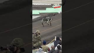 Famous Japan Unleashes Hypersonic Firepower Near Mount Fuji In Massive Live-Fire Military Drill Wealth