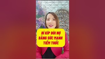 BÍ KÍP ĐÒI NỢ (THU HỒI THU NHẬP) BẰNG LUẬT HẤP DẪN