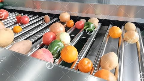 Fruit And Vegetable Sorting Grading Machine Commecial