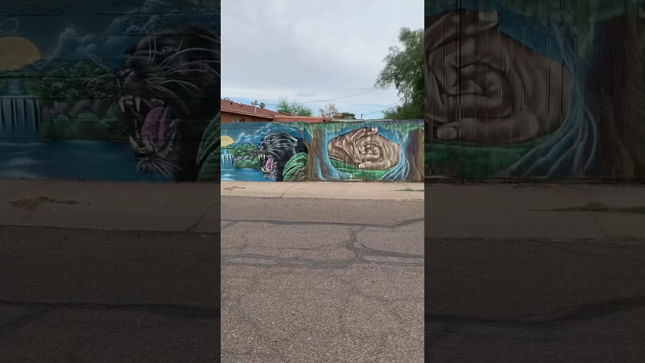 Watch Phoenix Barrio (Maryvale) on YouTube Watch Phoenix Barrio (Maryvale) on YouTube