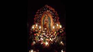 VIRGEN DE GUADALUPE - CUMBIA