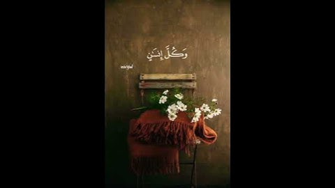 تلاوة عذبة😍🍃♥️🍃اللي يعرف اسم القارئ يكتب تحت بالكومنت!