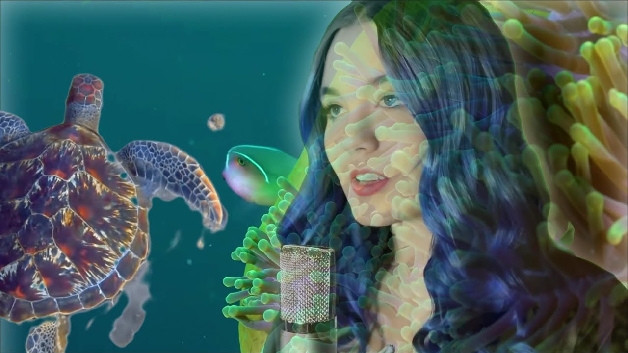 Watch If You're Looking for Me 🐬 Check Under the Sea 🐢🐙🐟🧜♀️🐡🦑🐠 on YouTube Watch If You're Looking for Me 🐬 Check Under the Sea 🐢🐙🐟🧜♀️🐡🦑🐠 on YouTube