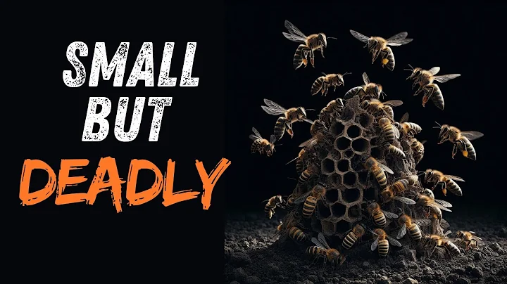 How to survive a BEE ATTACK? | Be careful when smelling a flower