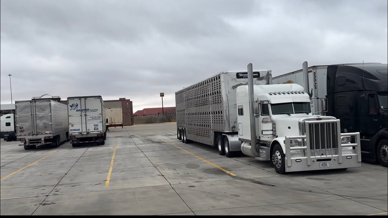 Vai tiešām benzīntankā beidzas degviela?!