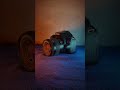 WARNING ⚠️ 200D ii                        #trending #viral