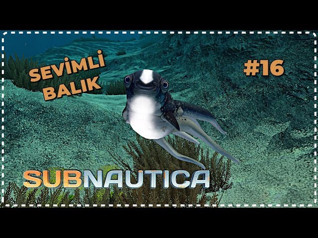 SEVİMLİ BALIĞI DOĞAYA SALDIK | Subnautica - TAM SÜRÜM [Türkçe] #16