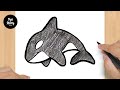 #636 How to Draw a Killer Whale (Orca) - Easy Drawing Tutorial