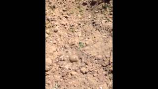 Leak Detection Houston - Routine Pressure Check