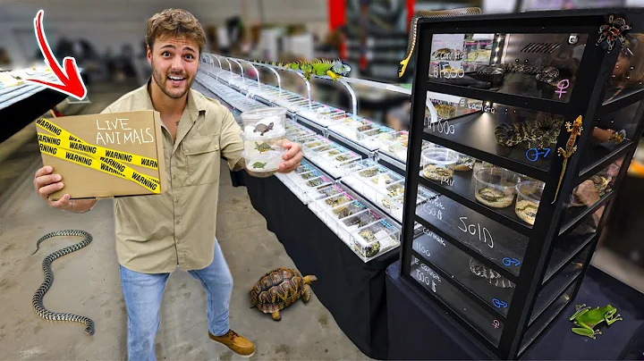 Buying ANIMALS at the LARGEST REPTILE EXPO!! thumbnail