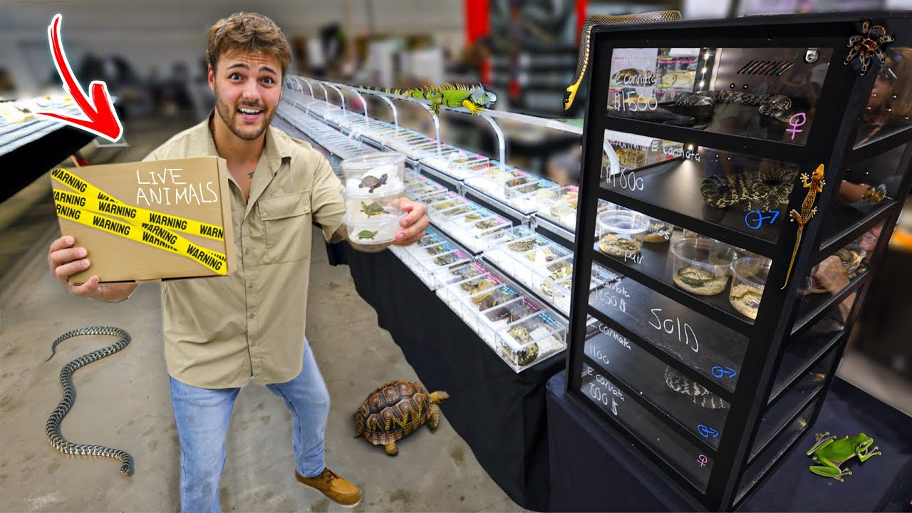 Buying ANIMALS at the LARGEST REPTILE EXPO!!