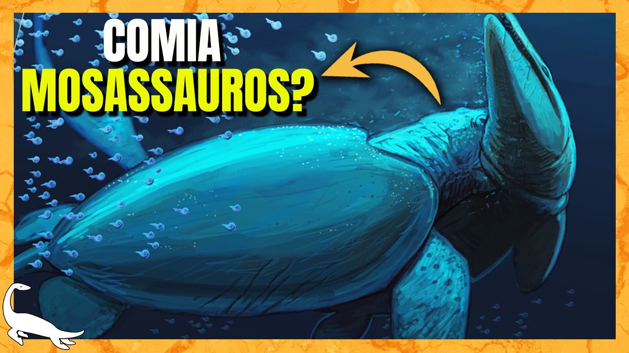 Descoberta TARTARUGA GIGANTE PRÉ-HISTÓRICA! (Leviathanochelys) - YouTube