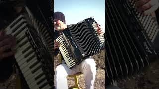 Keep Calm And Play Accordion Settimio Soprani Artist Vi Radu Zaplitnii