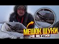 ПЕРВЫЙ ЛЁД! НАБИЛ МЕШОК ЩУКИ ДОМОЙ \ ЖЕРЛИЦЫ СРАБОТАЛИ СТО ПРОЦЕНТОВ \ ОКУНЬ НА БЛЕСНУ, ВЫЕЗД ДОМОЙ!