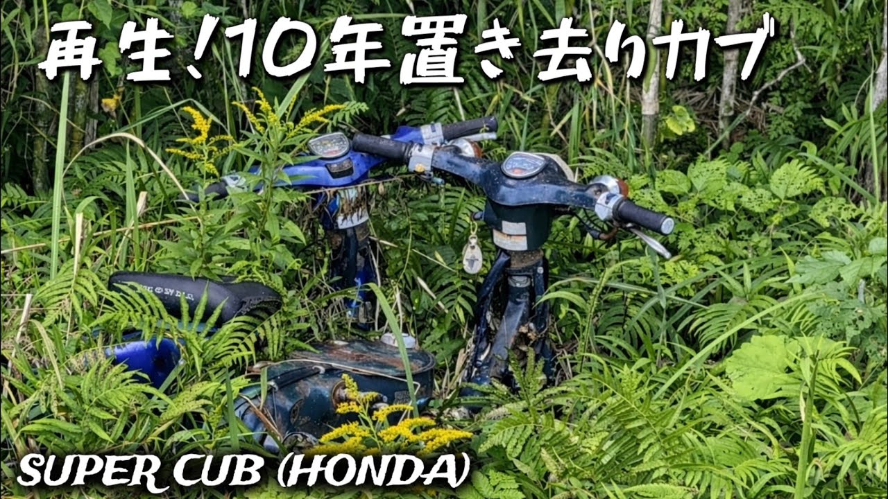 Restoration resumes! A Super Cub abandoned in the grass - YouTube