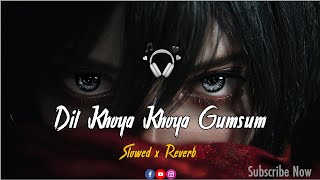 Dil Khoya Khoya Gumsum Slowed Reverb Painful Memories
