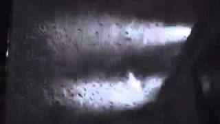 2:2:2011 Blizzard QT.mov