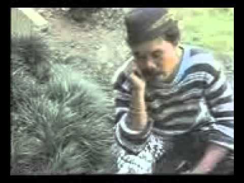 Ocu yasir yatim_ aya na'ang.mp4