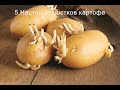 8 народных рецептов для лечения катаракты