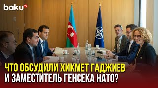 Помощник президента Азербайджана Хикмет Гаджиев встретился с заместителем генсекретаря НАТО