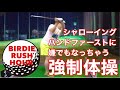 【シャローイング】嫌でもこの動きになっちゃうドリルを紹介【ハンドファースト】日本アマへの2回目の出場を目指して日々練習