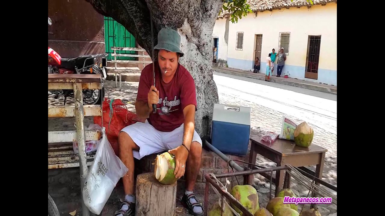 Behind the scenes happy metapan cementerios de barcelona