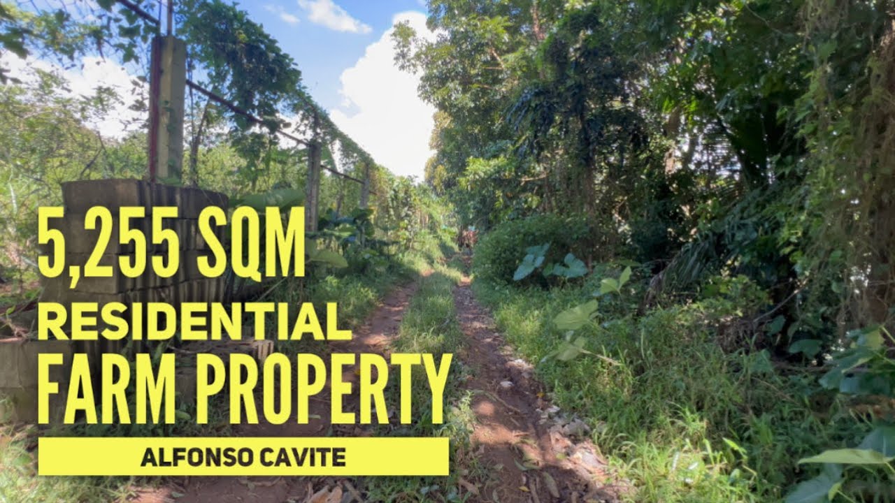 FOR SALE ️ 5,255 SQM Residential Farm Property Tagaytay Climate