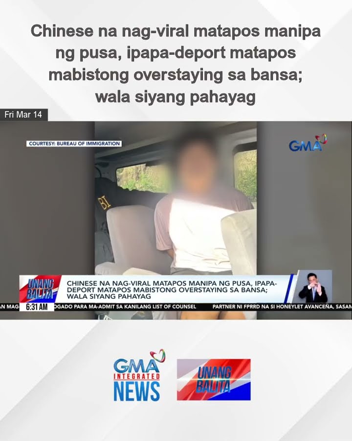 Chinese na nag-viral matapos manipa ng pusa, ipapa-deport matapos mabistong... | Unang Balita