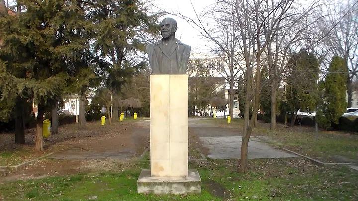 Ioan N. Roman