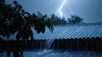 Forest Rain & Thunder Sounds for Sleeping | Nature Ambience for Deep Sleep