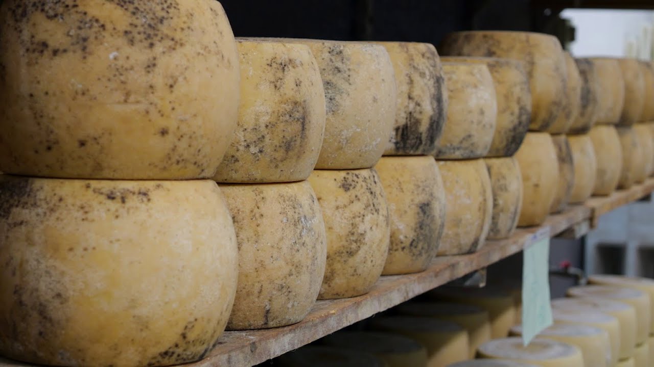 Il Caseificio Marongiu e l’arte del formaggio  | PIC Progetti in Cammino - GAL BMG