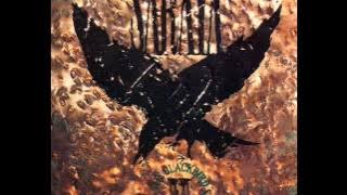 Saraya When The Blackbird Sings (Video HD)