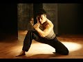 The Top 20 Martial Art Fight Scenes Part 1