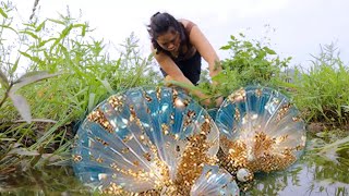 Download Lagu Extracting Super Beautiful Pearls from a 1200 Year Old Clam # Pearl Hunter # Pearl Hunter MP3 Download Lagu Extracting Super Beautiful Pearls from a 1200 Year Old Clam # Pearl Hunter # Pearl Hunter MP3